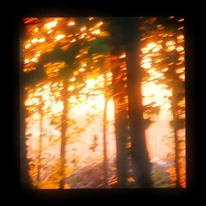 法国黄色淫税秽网站
