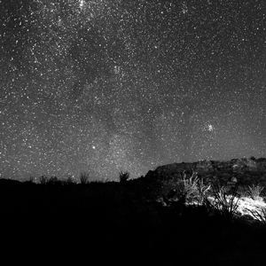 法国黄色淫税秽网站
